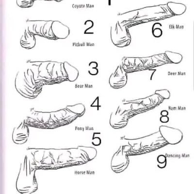 a la recherche sex cameur anonyme. intéressé dm.