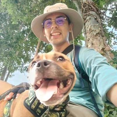 rodrigorotti's profile picture. It was the best of times...