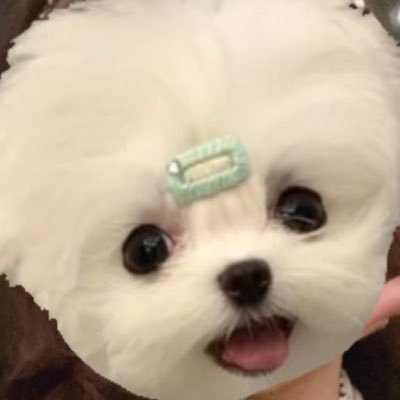 取引用