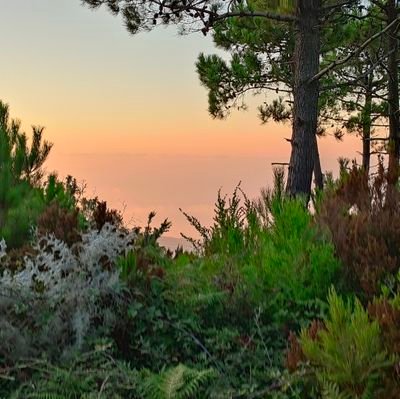 calfabianooo47's profile picture. 