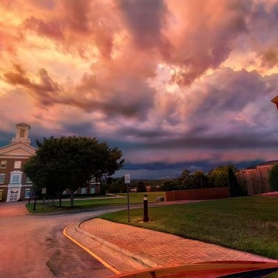 JoePowe54357348's profile picture. Example text