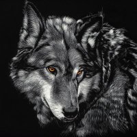 Mr. Wolf (@antonioadkins17) 's Twitter Profile Photo Mr. Wolf (@antonioadkins17) 's Twitter Profile Photo