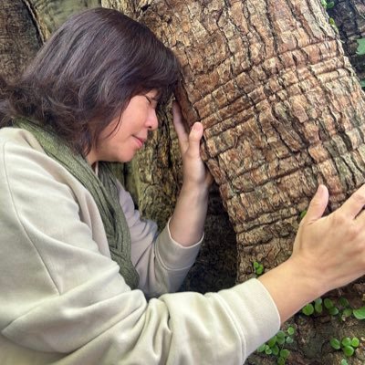 lomineco's profile picture. 地球と「いまここ」からクリエイトする GAIAtouch ガイアタッチ、EarthFlowアースフローセラピスト兼ライフコーチ