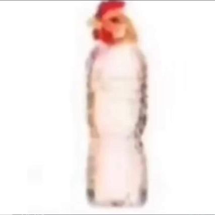 lil_homa's profile picture. pinga