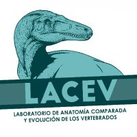 Lab. A. Comparada y Evolución de los Vertebrados (@lacev_macn) 's Twitter Profile Photo Lab. A. Comparada y Evolución de los Vertebrados (@lacev_macn) 's Twitter Profile Photo