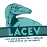 LACEV_MACN's profile picture. Twitter oficial del Laboratorio de Anatomía Comparada y Evolución de los Vertebrados del Museo Argentino de Ciencias Naturales Bernardino Rivadavia