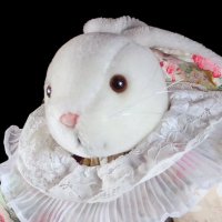 funny bunny utopia(@morphobunni) 's Twitter Profile Photo