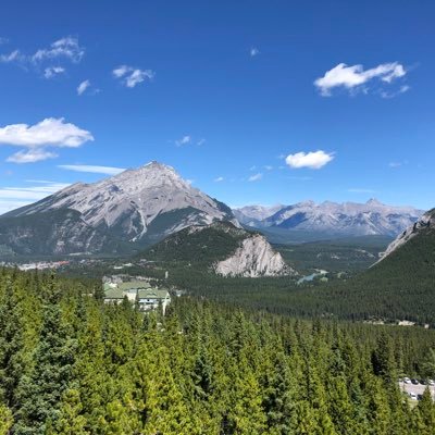 matthewepp's profile picture. 