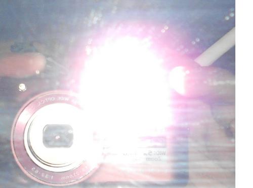 slave999's profile picture. Importer/Exporter;