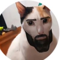 Mary Campbell (@marycampbe94525) 's Twitter Profile