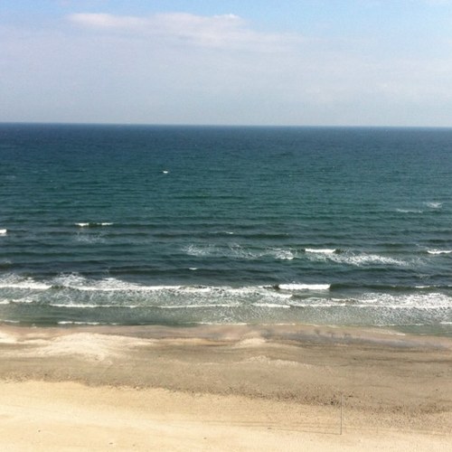 doruiacovescu's profile picture. 