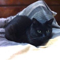 kiki (@kikiaya2000) 's Twitter Profile