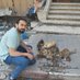 Gaza Animals Help (@osamamatter1) Twitter profile photo Gaza Animals Help (@osamamatter1) Twitter profile photo