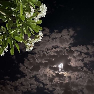 jin_1197's profile picture. 