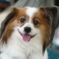 Ricky (@ricky03081115) Twitter profile photo