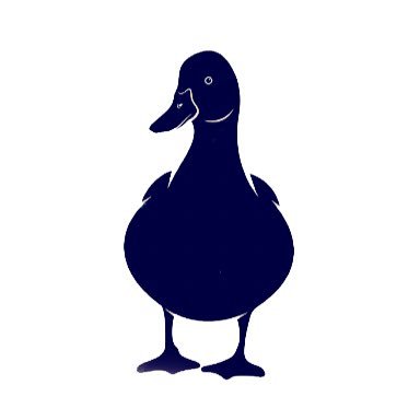Purple duck club
