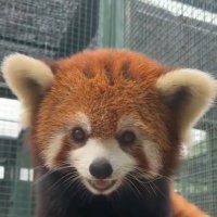 iamsheshe (@helloi44) 's Twitter Profile