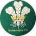 Bohemians Cricket Club (@Bohs1884) Twitter profile photo