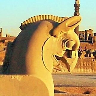 DaryoushArya's profile picture. Free Mind. Entrepreneur. Extraterrestrials, Interstellar, Galaxies, Multiverse, Dark matter and all the beyond 👨‍🚀🚀🛰️👽🌌