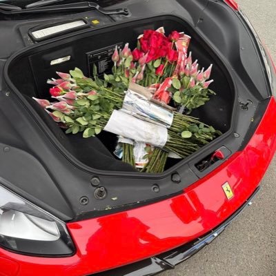 TDXJT's profile picture. 