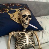 TheTangerineIsClockwork! (@clockworktangie) 's Twitter Profile