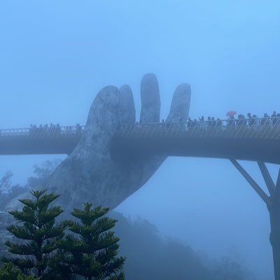 wang_yi10891's profile picture. 一颗80后小韭菜