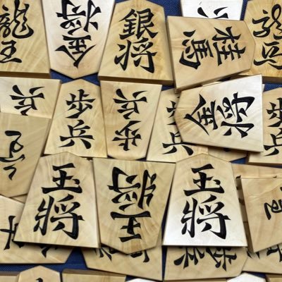 振り飛車党のドローヒッターです。受け間違っての頓死、グリーン横から寄らず入らずのボギーと終盤に難あり。ウォーズ1級、ベスト75。エース駒は勝仙作海燕、DRはEPON AF105。好きなYouTubeは将棋放浪記、Toru Golf TV、あさ8です。党員No.163xx『日本を豊かに強く!』大河『べらぼう』にハマり中。