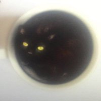 LaLaMala (@laraxxmaria43) 's Twitter Profile