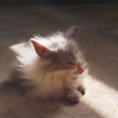 Tagakalat's profile picture. TAONG DAGAT
#2NE1isBACK

DM LIMIT ALWAYS