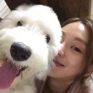 ylsh19855's profile picture. 