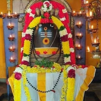 KayceeChan23181's profile picture. Supporter of the dynamic leadership - African by looks (according to Sam Pitroda) தந்தையாகித் தாங்குவான்! பொன் போன்ற சகஸ்ரதளத்தில் விளங்குபவன் சிவபெருமான்.🙏🙏