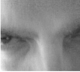 OskarJaime1's profile picture. Complejidad, Sociedad y Seguridad; Complexity, Society and Security; Komplexität, Gesellschaft und Sicherheit. Departamento de Tendencias Sociales. UNED.