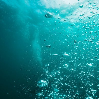 KrytanDives's profile picture. What do you mean I’m Narced?