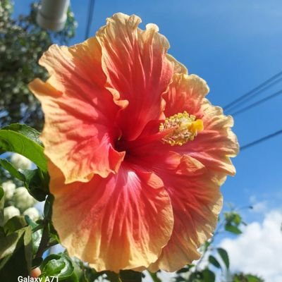 mariferrer_'s profile picture. 