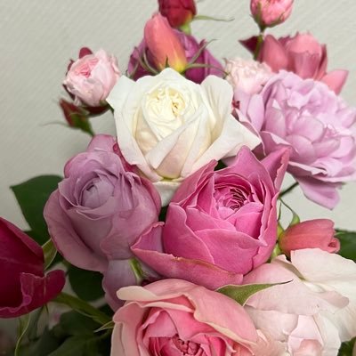 四弦🍊⛄の5歳児と🅰️の🔮🍇にも沼り中。RYT200修了しました🧘‍♀️Favorites➡️☕️👘🥯🍕🍜🍝🍅🍎🍏🍓🐱🐶🦋🦚🎄🌷🌻⭐️⚾️🏀🎽🎭🎬🎷🎸📻🕉☯️