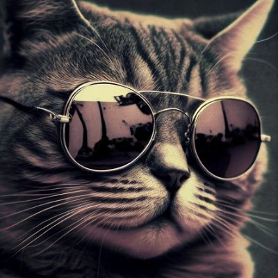 Pretend this is an inspirational quote - and also cats are awesome