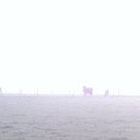 Paul Westhoff - @PWesthoff2 - Twitter