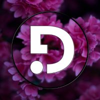 Digi Vybe 🤙 (@digivybe) 's Twitter Profile