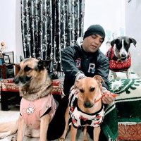 CST (@cstiwari) 's Twitter Profile