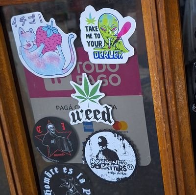 luacesrafaela's profile picture. ella es la nena de papi y escucha los bardero$
💫🥥