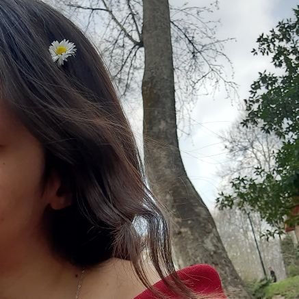 English and French teacher 🍄 talk: https://t.co/OmsK52vsNB