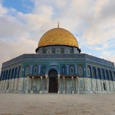 MohammadFa42045's profile picture. 