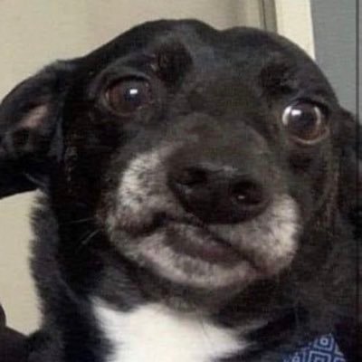 robkill7842742's profile picture. 