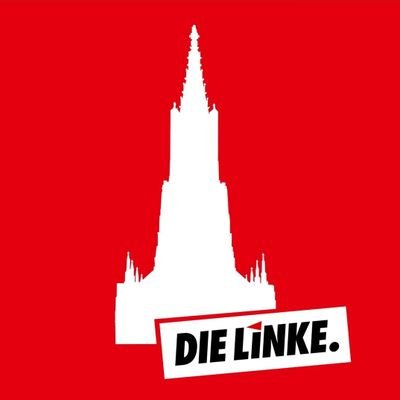 Die Linke Ulm/Alb-Donau Profile