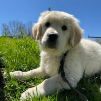 Jaeden (supervised) (@platniumeden) 's Twitter Profile Photo Jaeden (supervised) (@platniumeden) 's Twitter Profile Photo