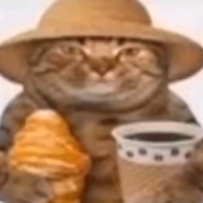 _interpolation's profile picture. 