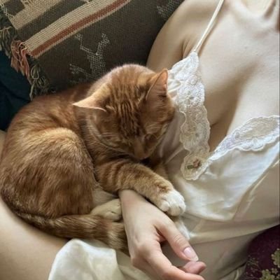 Quynhlan08's profile picture. 