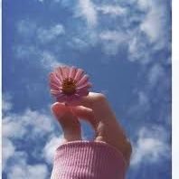 Panadol 💊 (@call_me_zehra) 's Twitter Profile Photo Panadol 💊 (@call_me_zehra) 's Twitter Profile Photo