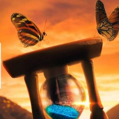 joeljoe94's profile picture. I don't force life