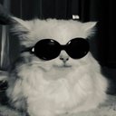 9's avatar